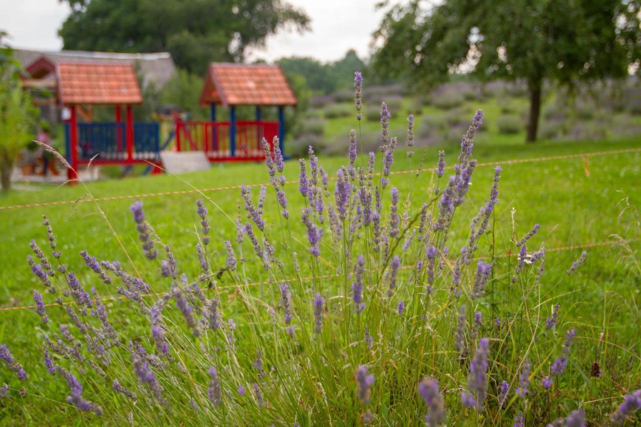Lavanda Farm Apartmani Rakovica Eksteriør bilde