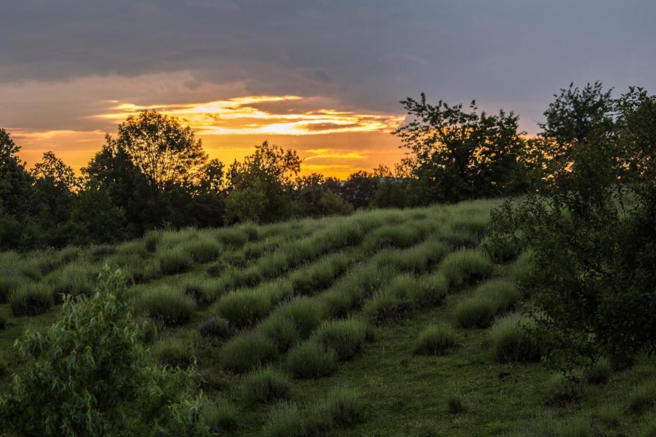 Lavanda Farm Apartmani Rakovica Eksteriør bilde