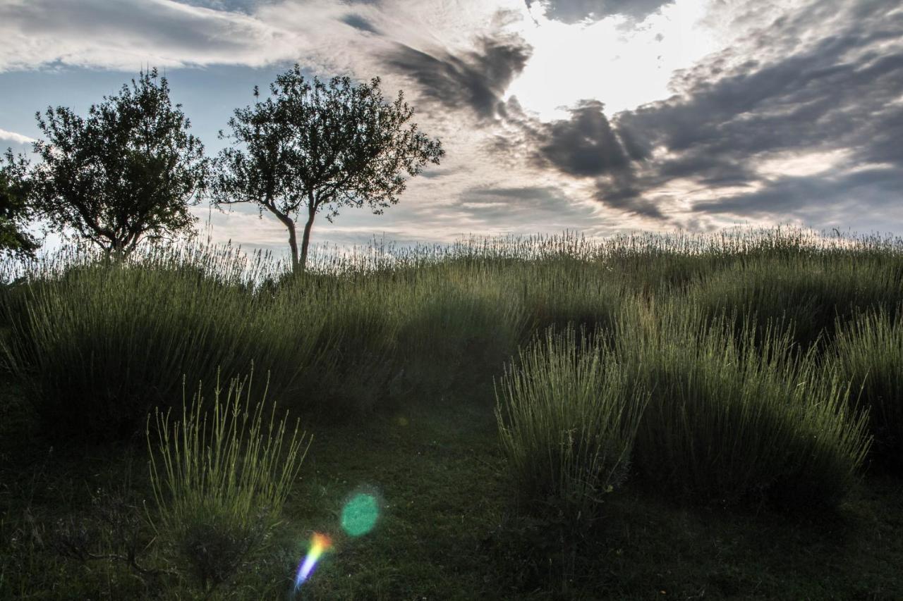 Lavanda Farm Apartmani Rakovica Eksteriør bilde