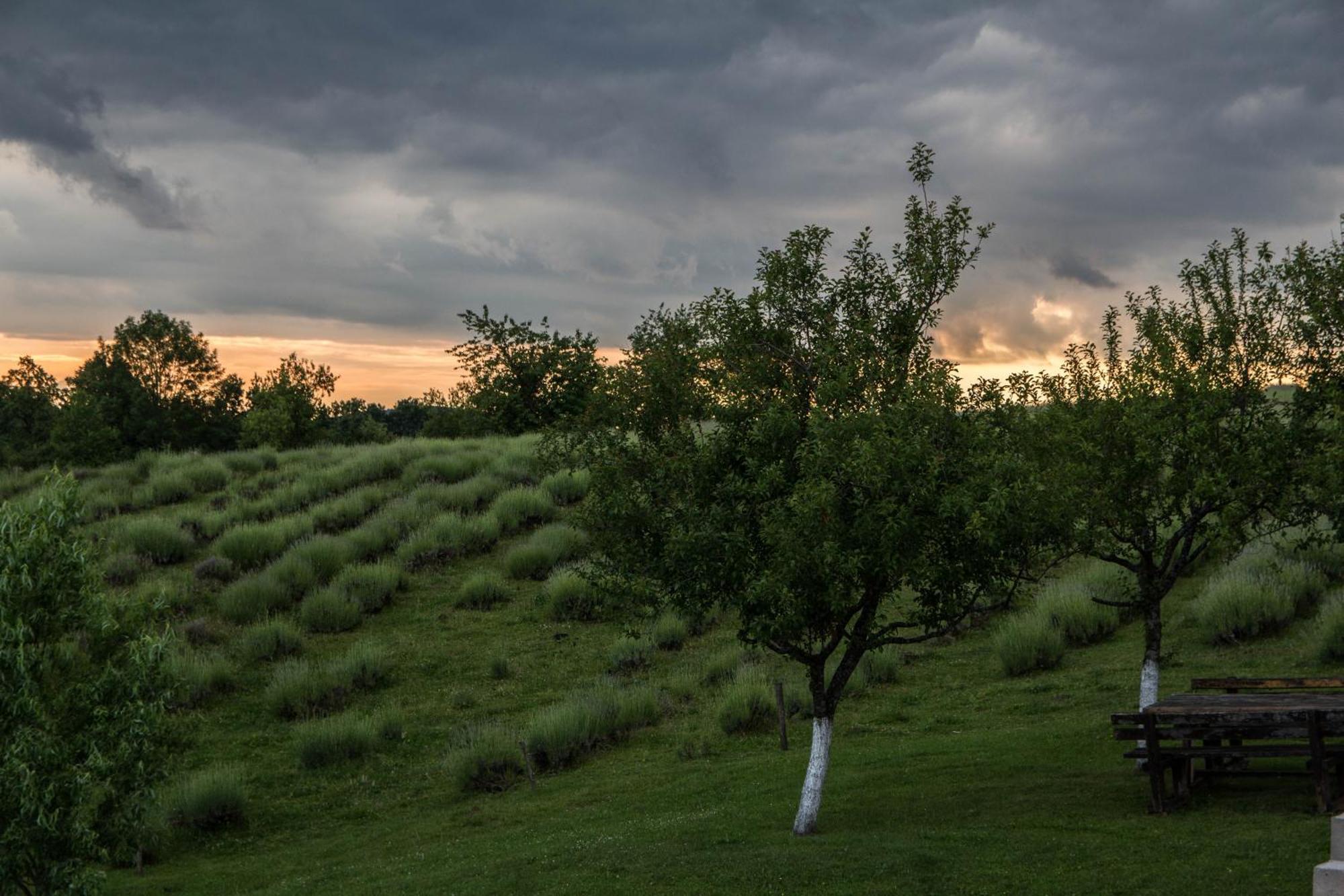 Lavanda Farm Apartmani Rakovica Eksteriør bilde