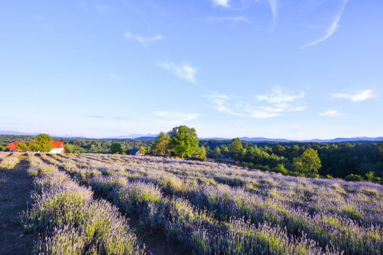 Lavanda Farm Apartmani Rakovica Eksteriør bilde