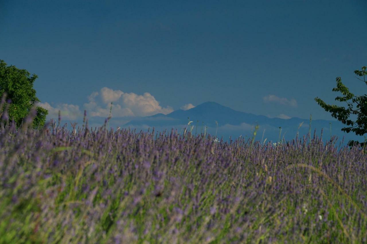 Lavanda Farm Apartmani Rakovica Eksteriør bilde