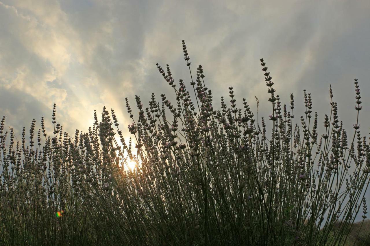 Lavanda Farm Apartmani Rakovica Eksteriør bilde