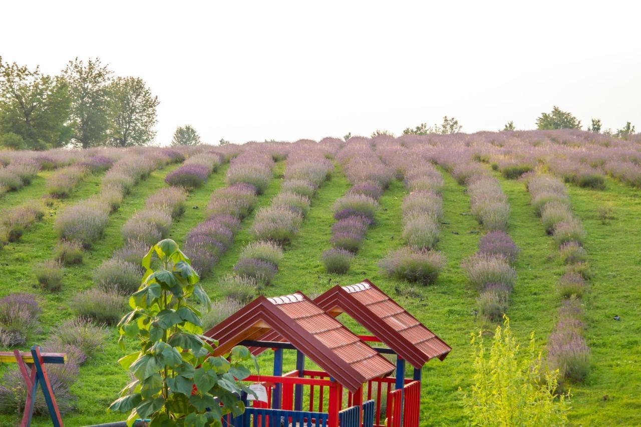 Lavanda Farm Apartmani Rakovica Eksteriør bilde