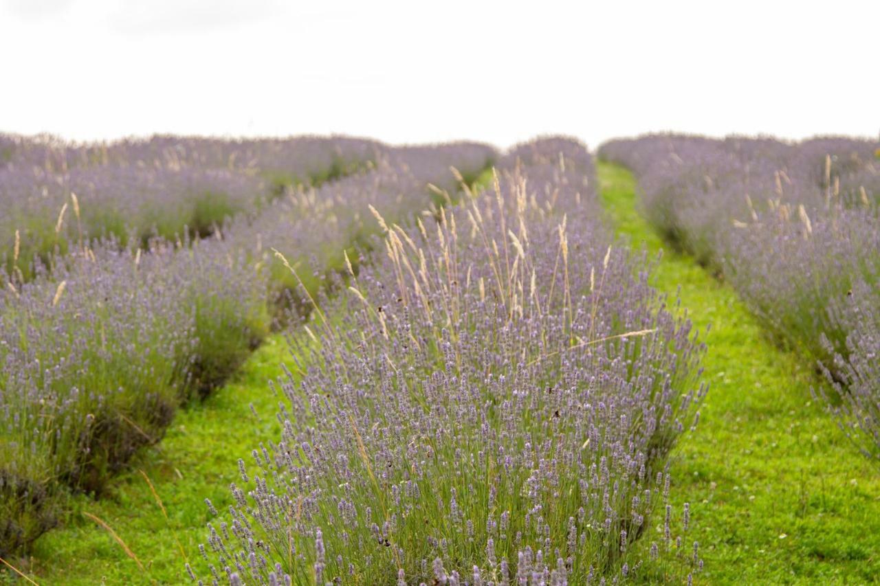 Lavanda Farm Apartmani Rakovica Eksteriør bilde