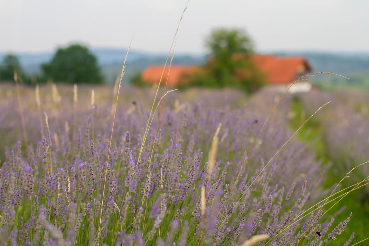 Lavanda Farm Apartmani Rakovica Eksteriør bilde